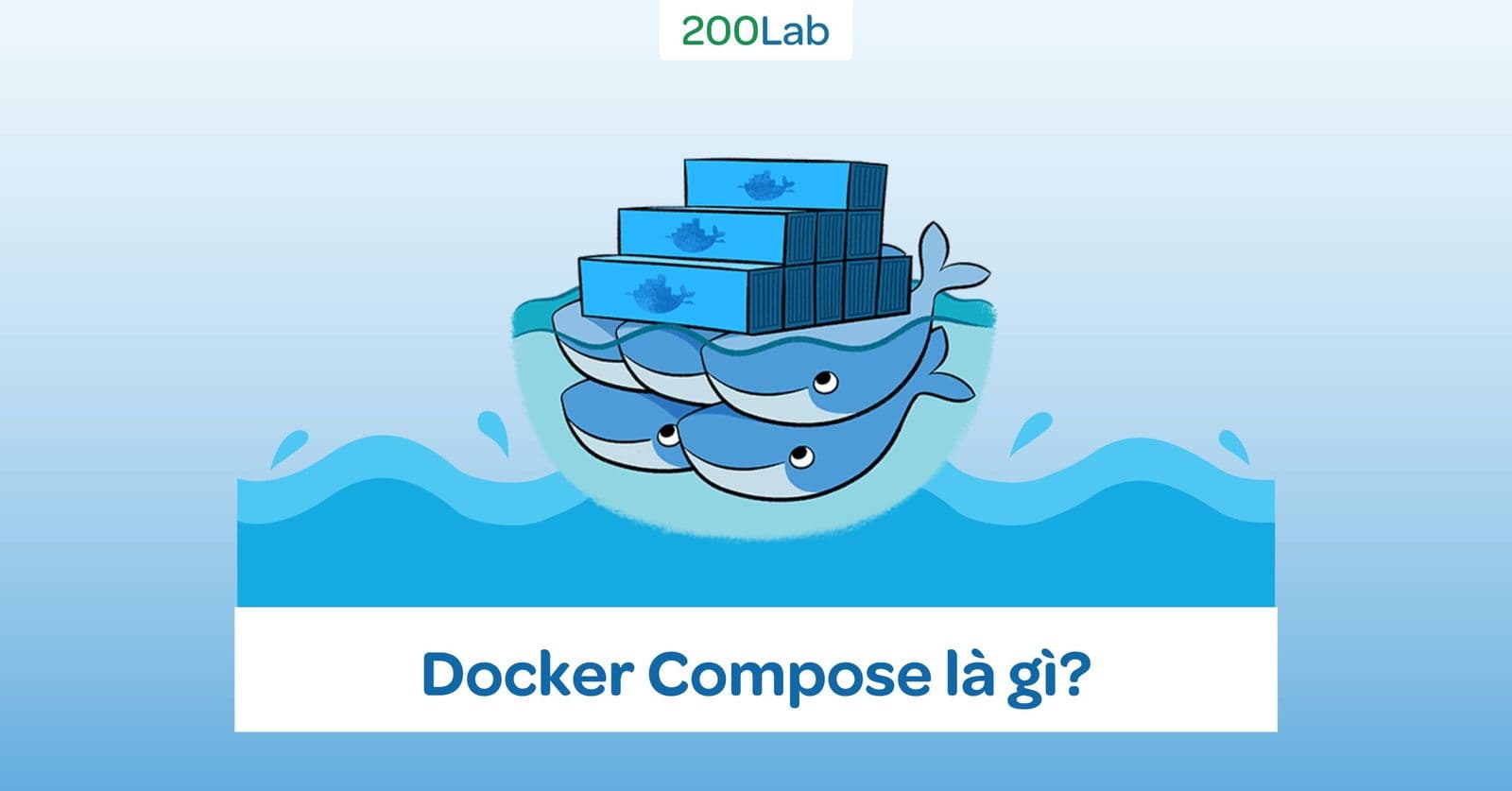 Docker Compose là gì? Các lệnh cơ bản trong Docker Compose