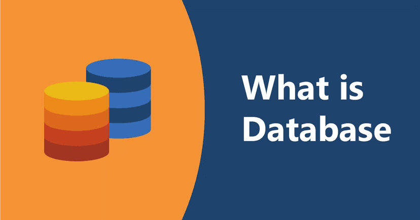 Database (Cơ sở dữ liệu) là gì? Những loại Database phổ biến nhất hiện ...