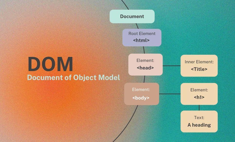 DOM là gì? Kiến thức nền tảng cho Web Developer