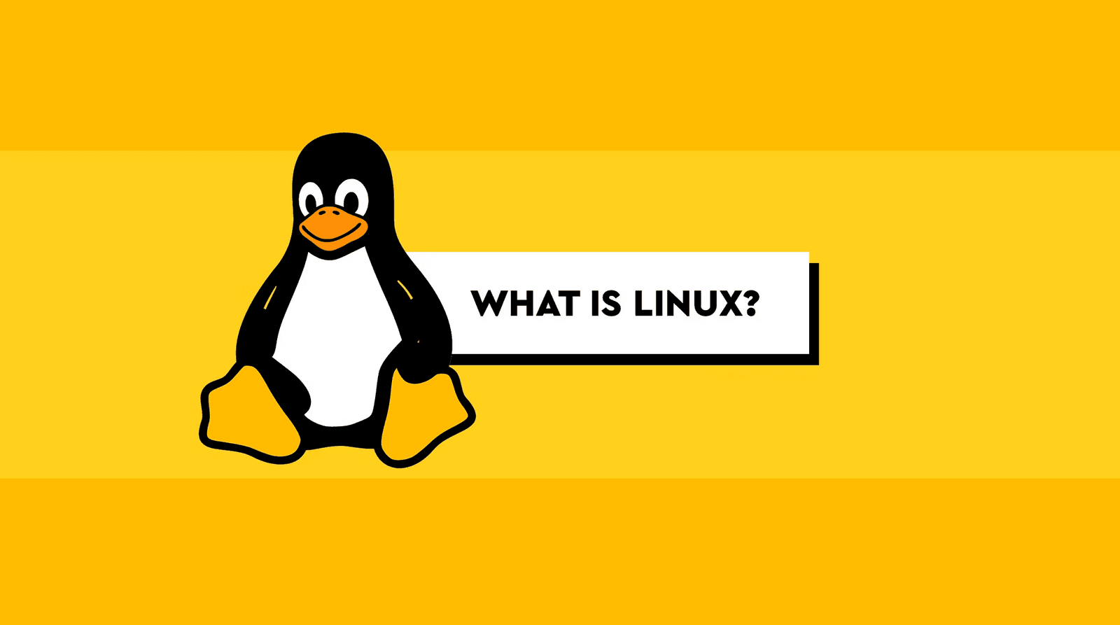 Linux là gì? So sánh Hệ điều hành Linux và Windows