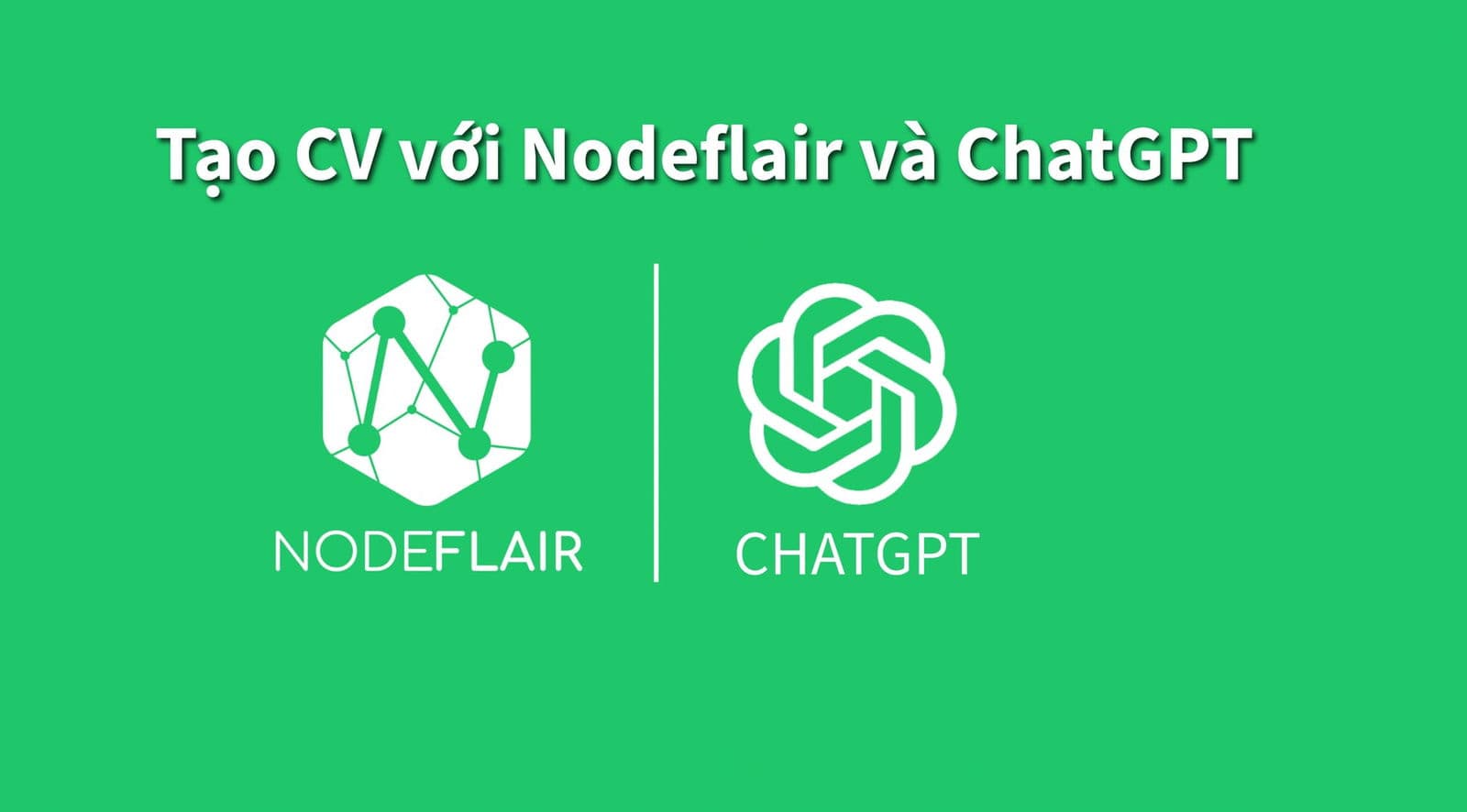 Hướng dẫn sử dụng công cụ đánh giá CV miễn phí